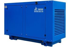 Дизельный генератор ТСС АД-12С-230 в погодозащитном кожухе с АВР 025055 (с автозапуском) фото