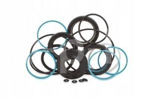 Ремкомплект уплотнений EVO2