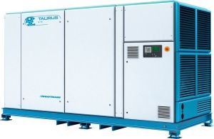 Винтовой компрессор  TAURUS 250 8