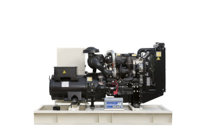 Дизельный генератор TEKSAN TJ110PE5L  4-х тактный фото