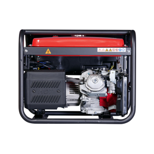 Бензиновый генератор Fubag WS 230 DC ES 646247 для дачи фото