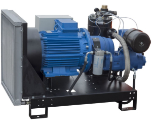 Винтовой компрессор Арсенал ЗИФ-СВЭ-10,6/0,7 без кожуха фото