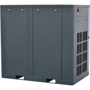 Винтовой компрессор Comaro MD 90-10 фото