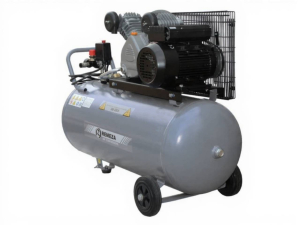 Поршневой компрессор Remeza СБ4/С-100.LB24A для автосервиса фото
