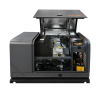 Газовый генератор  GM 12000